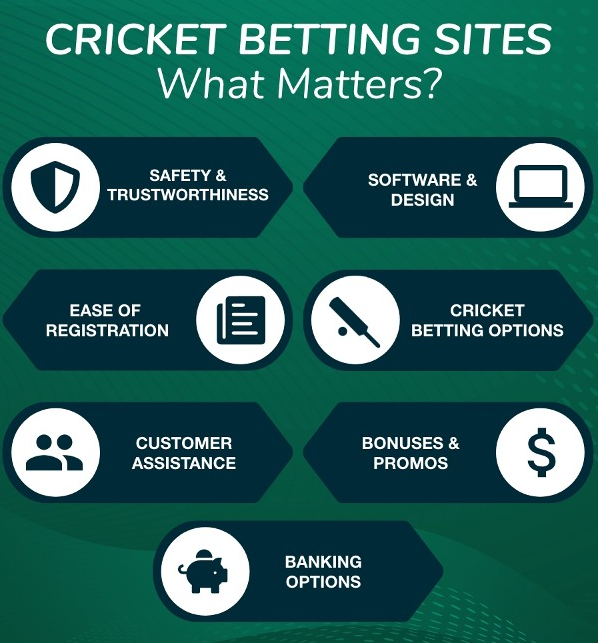 cricket betting id checklist